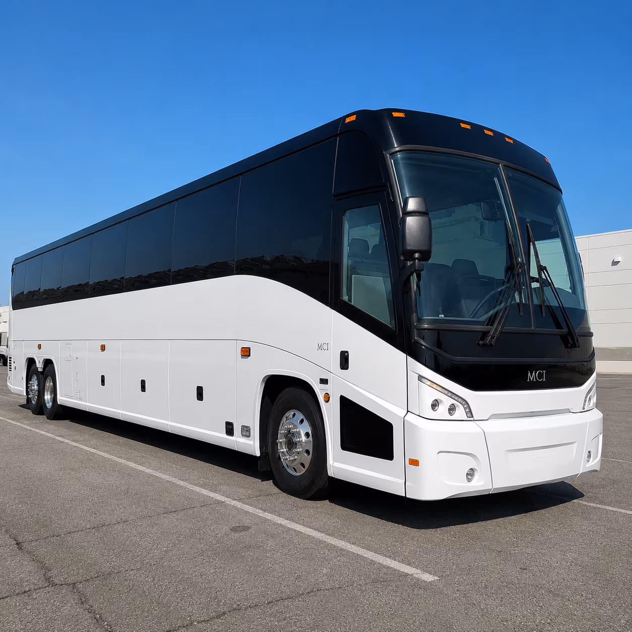 rocky mountain national park field trips from loveland made easy